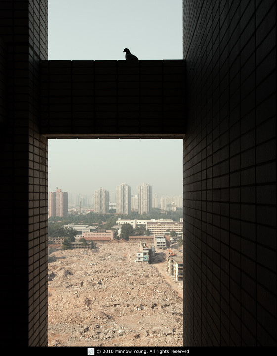 DSC_0462_1