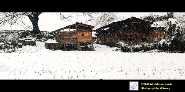 DSC_7013_j.jpg