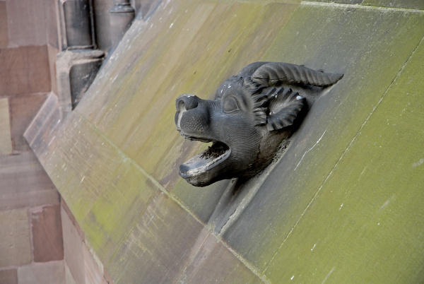 DSC_6697_c.jpg