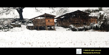 DSC_7013_j.jpg