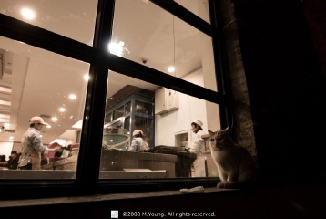 DSC_1269.jpg