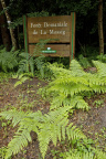 DSC_2617_1600.jpg