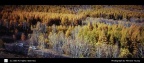 DSC_1107.JPG