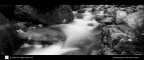 img137_1600