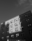 DSC_1050q