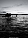 DSC_1139_3c