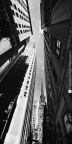 DSC_1322bwq