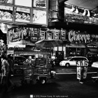 DSC_1589bwq