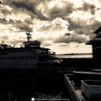 DSC_1236cq