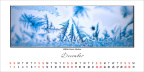 12_resize