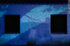 DSC_0047COLOR