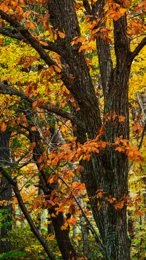 我起昵称都被抢了标为情感的图博 - 我起昵称都