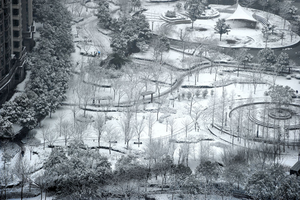 上海下雪新消息评论