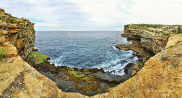 Watsons Bay, South Head