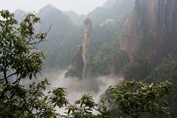 狂蟒出洞