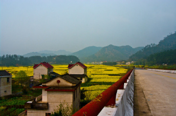 20090405-IMGP4977