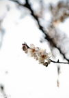 2012_03_12_IMG_1770-2