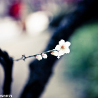 2012_03_12_IMG_1774-3
