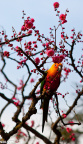 2012_03_12_IMG_1778-4