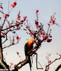 2012_03_12_IMG_1779-5