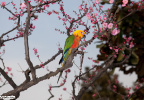2012_03_12_IMG_1784-6