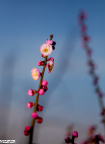 2012_03_12_IMG_1819-14