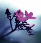 油画般的感觉，对吧？