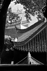 从外墙看岳麓书院