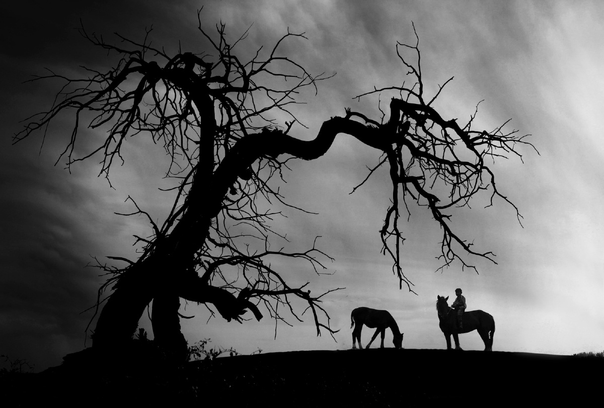 古道西风 - 黑白, 人文, 摄影, 佳能 - 古道西风 - 各茗 - 图虫摄影网