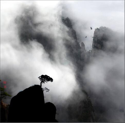 山雨欲来