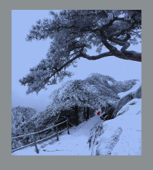 冰雪路