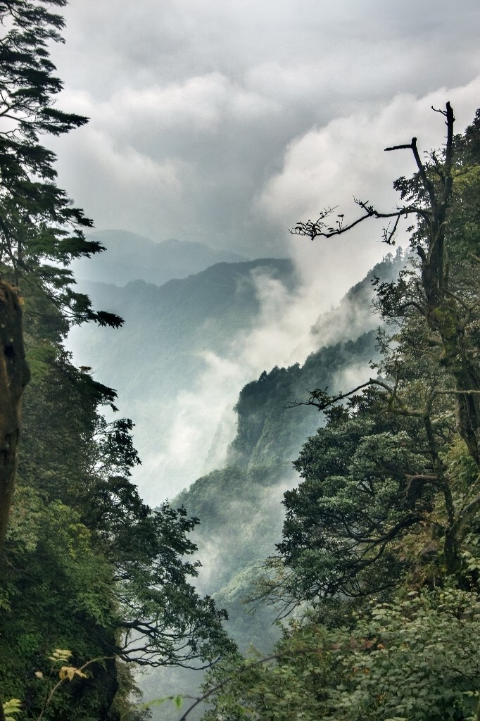 "_dsc9227"峨眉山2
