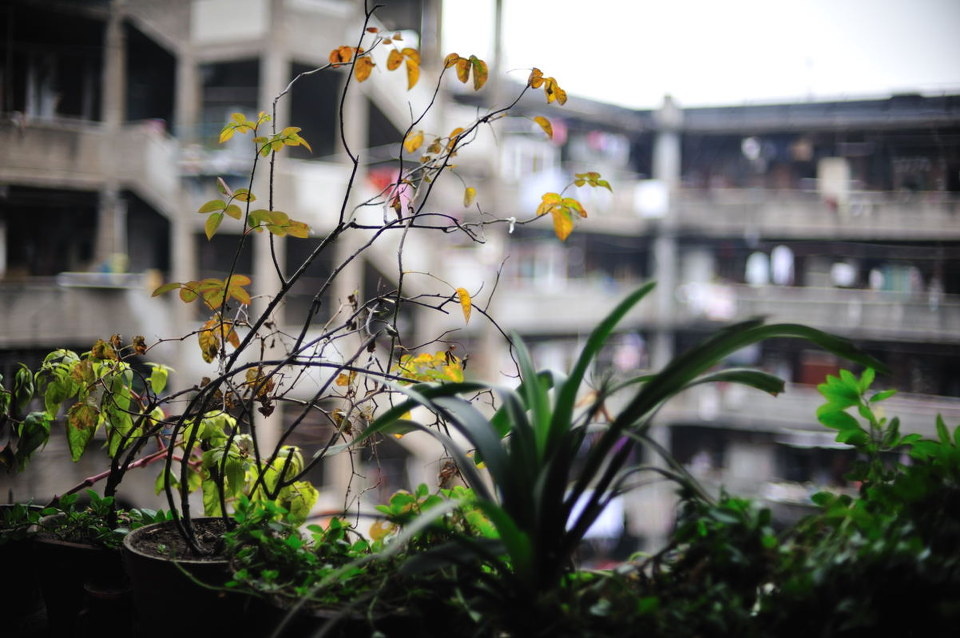 隆昌公寓 - 隆昌, 隆昌公寓, 隆昌路, 上海, 老房子, 老洋房, 扫街, 50\/1.4, 标头 - 上海的猪笼寨, 隆昌路362号 (50\/1.4d) - 覅黑七白德 - 图虫摄影网