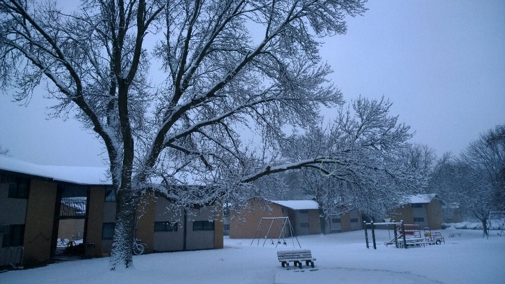 小城麦迪逊下雪了 - 风光, 自然, 手机, 美国 - 摄