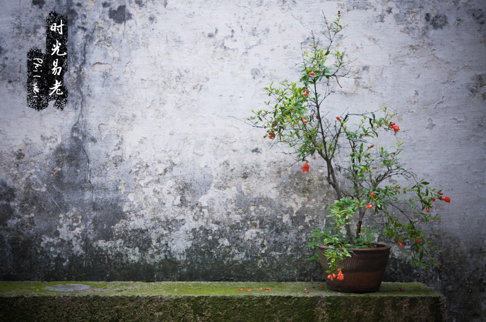 时光易老 - Phil_Wei - 图虫摄影网