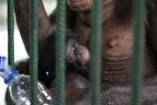 Baby boom-Bolingo-1day-2_1600