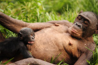 Baby boom-Bolingo-2weeks_1600