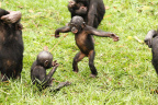 Baby Boom-两小无猜-3_1600