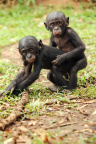 Baby Boom-两小无猜-2_1600