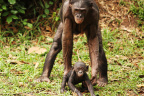 Baby boom-Kalina with Bolingo_Cropped_1600