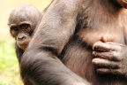 Baby Boom-10_1600