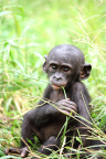 Baby Boom-7_1600