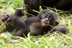 Baby Boom-6_1600