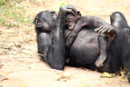 Baby Boom-1_1600