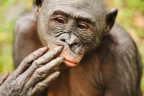 [Funny Face] Likasi rubbing nose_1600