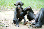 [Funny face] Mayele near mom_1600