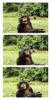 [Funny Face] Sake Camera Lover Series_1800
