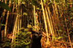 [At] Hedessie@Bamboo forest, Lola_1600