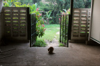 [At] Mimi@Group 2, Lola-2_1600