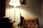 [At] Aberdeen@Emily's room, Durham_1600